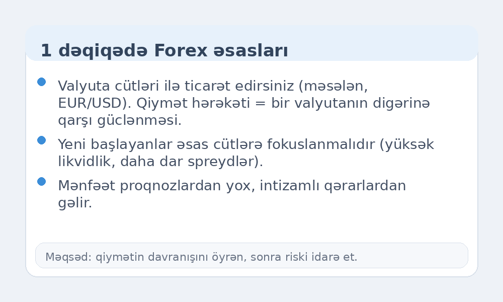 Forex əsasları infoqrafikası
