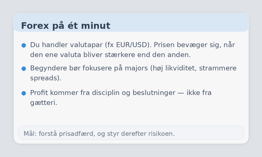Infografik med de vigtigste Forex-grundbegreber