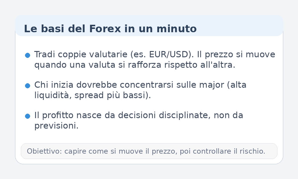 Infografica sulle basi del Forex