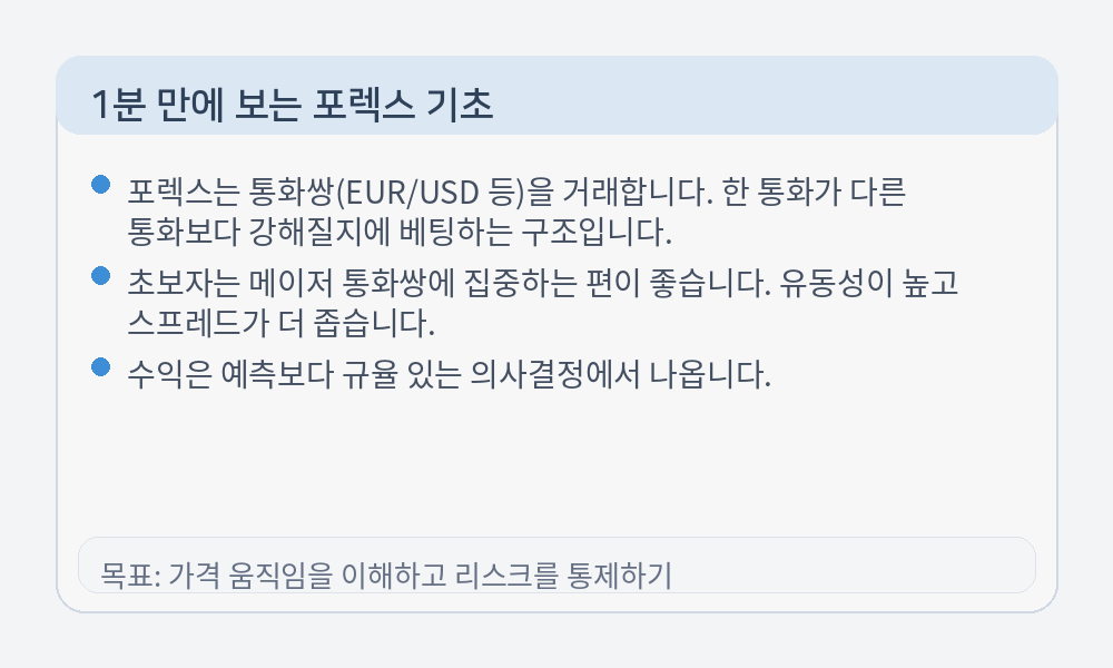 포렉스 기초 인포그래픽