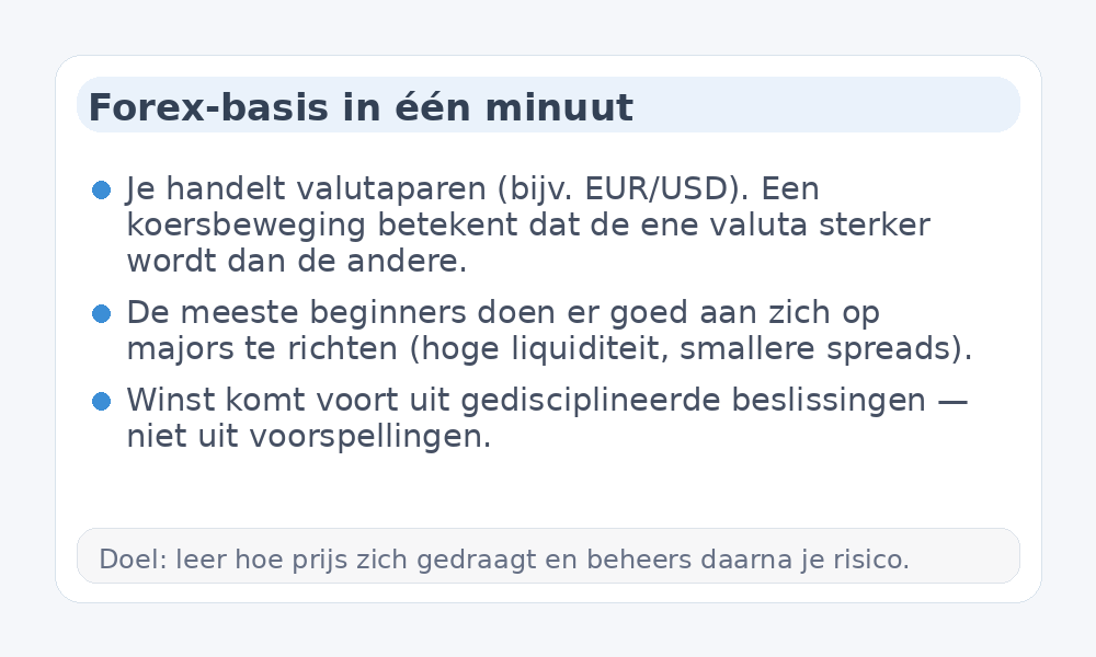 Infographic met Forex-basisprincipes