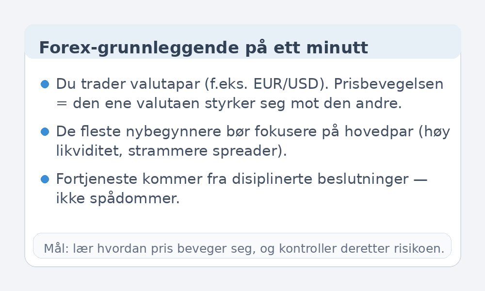 Infografikk med Forex-grunnleggende