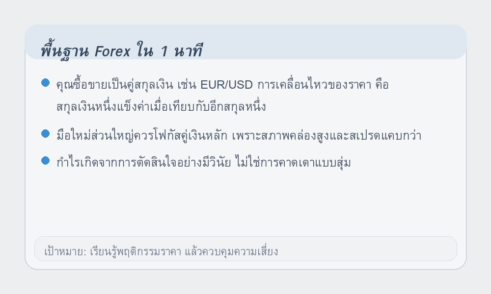 อินโฟกราฟิกพื้นฐาน Forex