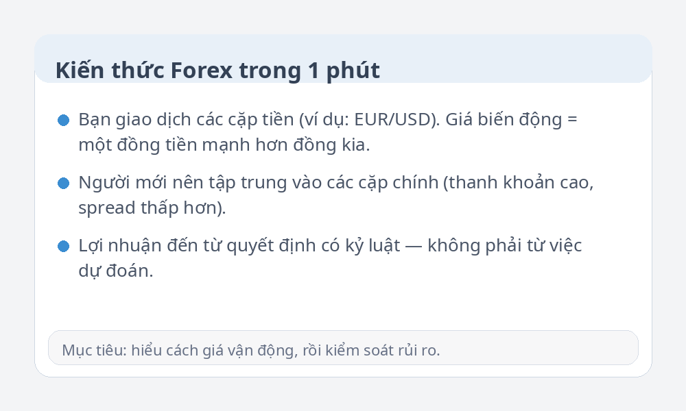 Infographic kiến thức Forex cơ bản